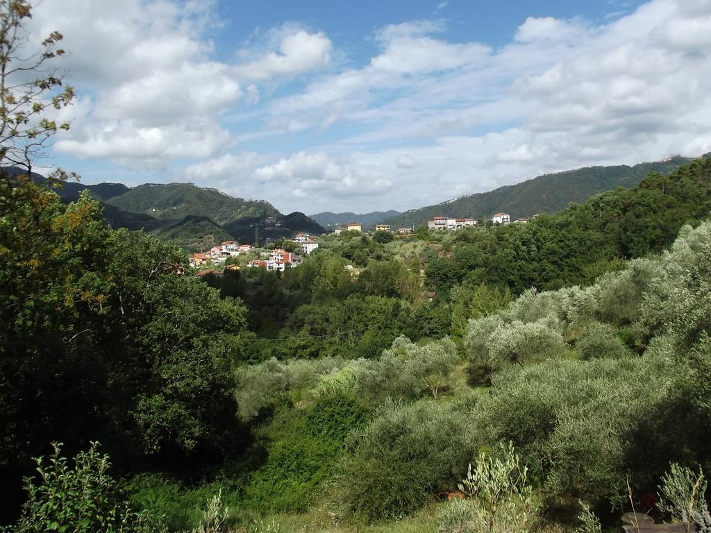 Villa Luce Stellata Serralta Zimmer foto